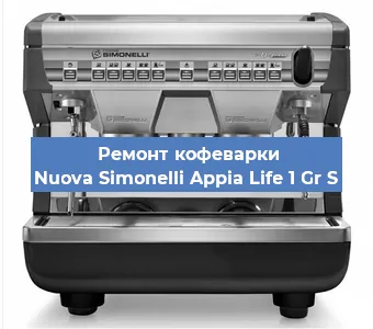 Чистка кофемашины Nuova Simonelli Appia Life 1 Gr S от кофейных масел в Екатеринбурге